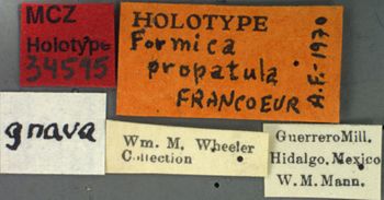 Media type: image; Entomology 34595   Aspect: labels